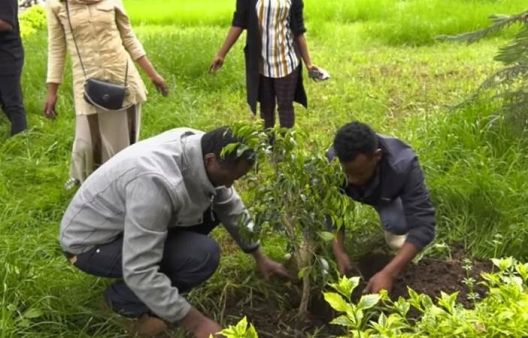 За 12 часа во Етиопија засадени 350 милиони дрвја