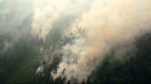Шумските пожари се предвесници на новата ера