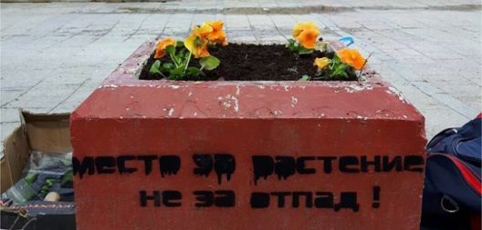 Акција за садење цвеќиња низ Скопје