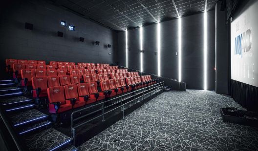 Ангелов: Ќе биде тешко да се вратат луѓето во киносалите