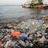 Канада најави забрана за пластични производи за еднократна употреба