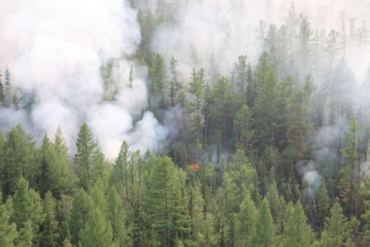 Сибир гори, се бара брзо справување со пожарите 