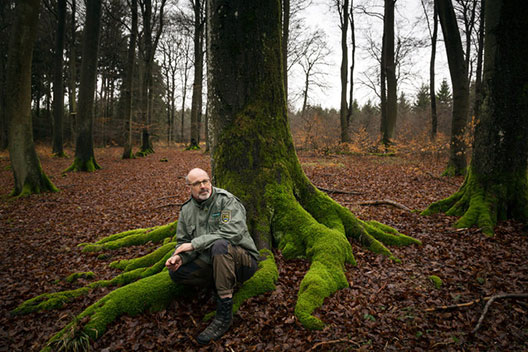 Германски шумски ренџер утврдил дека и дрвјата имаат социјални мрежи