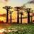 Исчезнува африканското „дрво на животот„