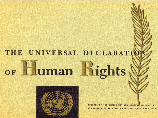 Светски ден на човекови права