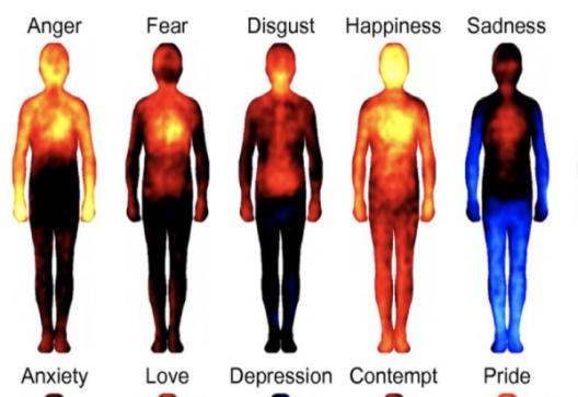 Мапа на емоциите во телото