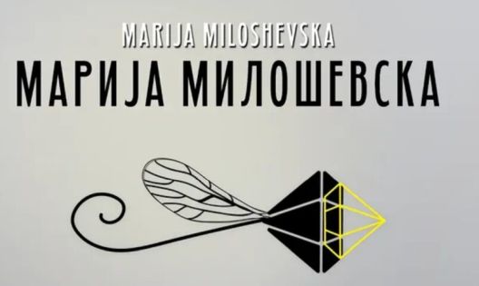 Мушичка и дијамант во МКЦ: изложба за мигот што сака да стане вечност Мушичка и дијамант во МКЦ: изложба за мигот што сака да стане вечност
