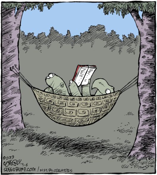 Лежалка Лежалка