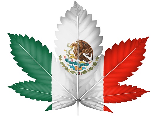 Мексико: пушењето марихуана е темелно човеково право