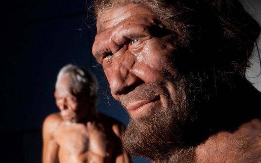 Човекот кој го дешифрираше Неандерталецот