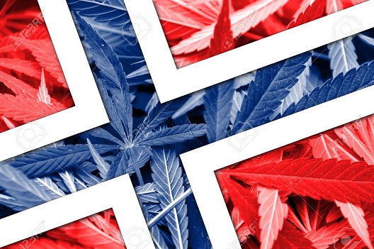 Норвешкиот парламент гласаше за декриминализација на употребата на дроги