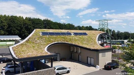 Трева на покривот: заштита на природата и штедење енергија