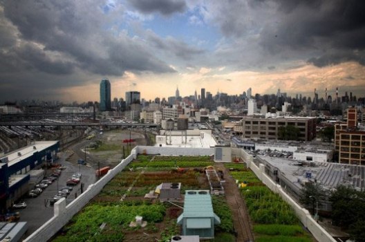 Зелени покриви, одржливи градови